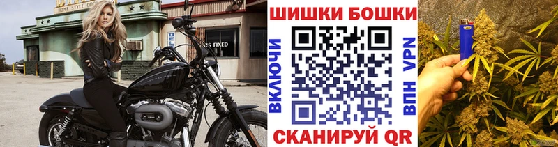Каннабис гибрид Кисловодск